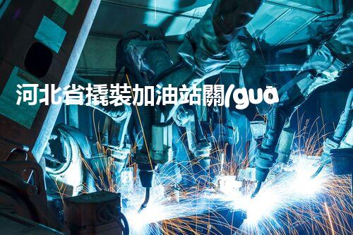 河北省撬裝加油站關(guān)鍵技術(shù)突破！化工廠拆除工程的新方法探索？